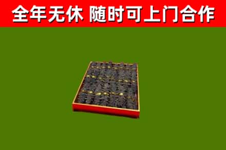 成安县回收海参